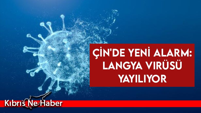 Çin'de yeni alarm: Langya virüsü yayılıyor