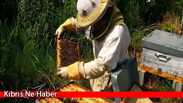 Tarım Bakanlığı: Arıcılar kayıt yaptırması gerek