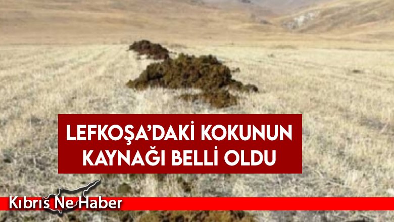 Lefkoşa’daki kokunun kaynağı belli oldu