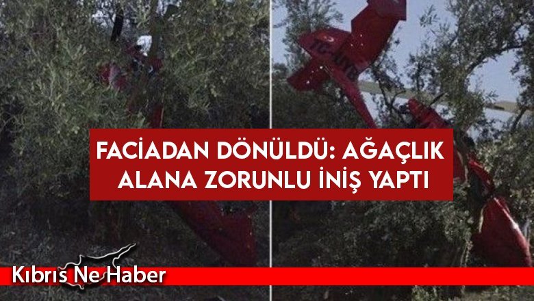 Faciadan dönüldü: Ağaçlık alana zorunlu iniş yaptı