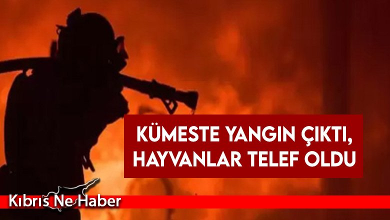 Sütlüce'de Yangın!