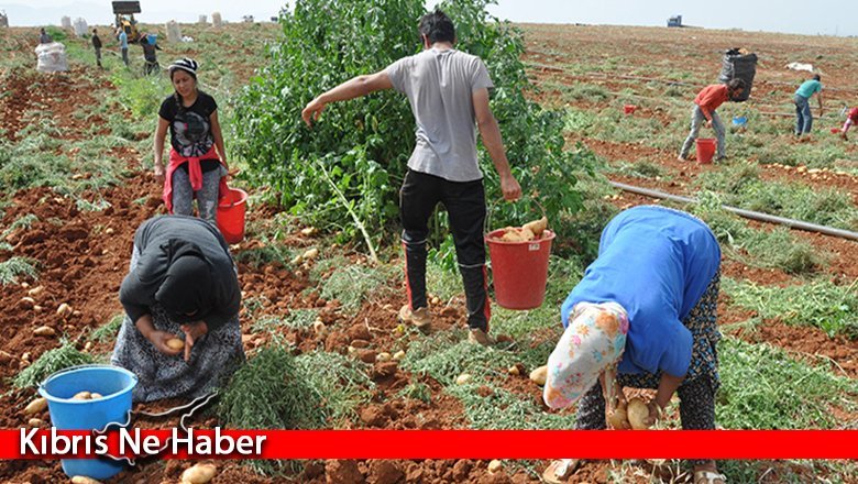 Üreticiye önemli çağrı!