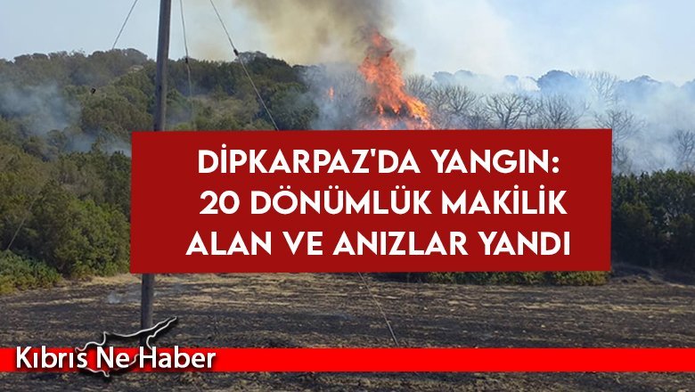 Dipkarpaz'da yangın: 20 dönümlük makilik alan ve anızlar yandı