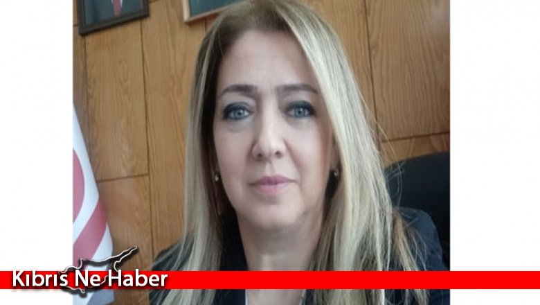 Ombudsman, Davulcu'nun raporunu yayınladı