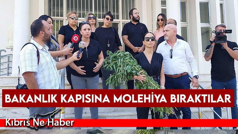 Bakanlık kapısına molehiya bıraktılar
