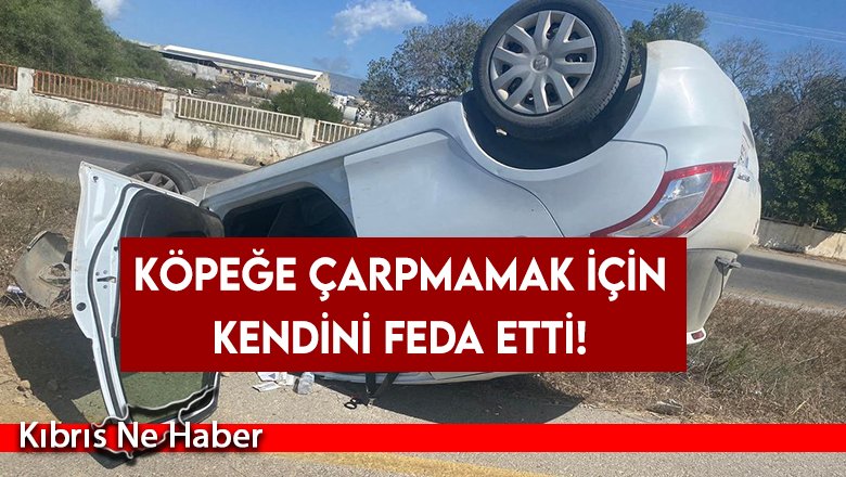 Yola fırlayan köpeği kurtarmak için kaza yaptı