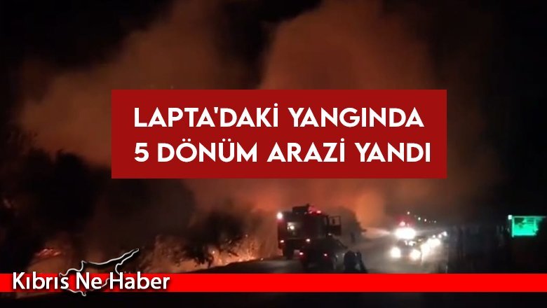 Lapta'daki yangında 5 dönüm arazi yandı