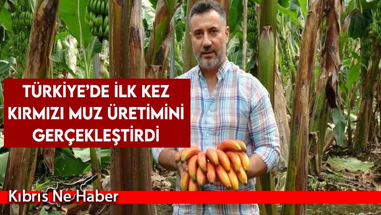 Türkiye’de ilk kez kırmızı muz üretimini gerçekleştirdi