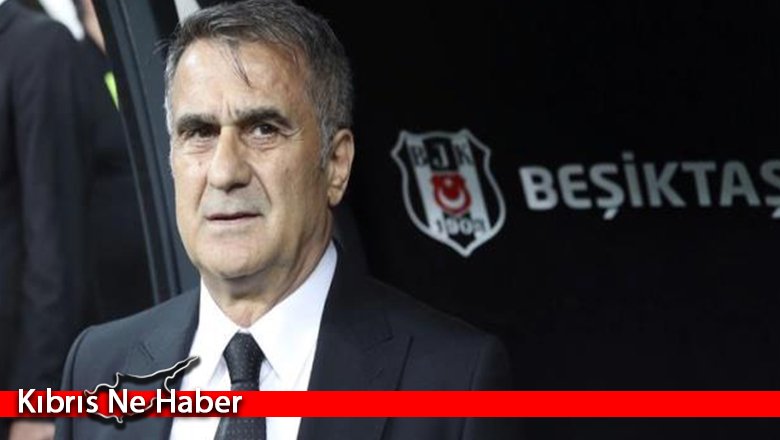 Beşiktaş'ın yeni teknik direktörü Şenol Güneş