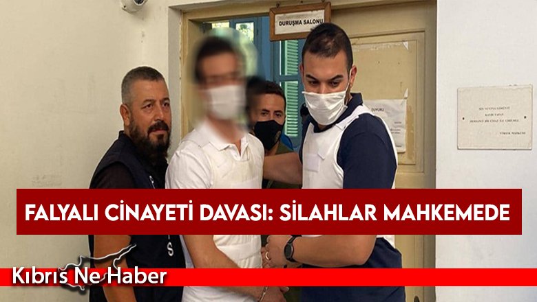 Falyalı cinayeti davası: Silahlar mahkemede