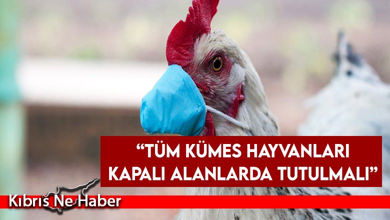 Veteriner Dairesi'nden Kuş Gribi Uyarısı!