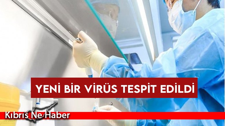 Çin'de hayvanlardan insanlara bulaşabilen yeni bir virüs tespit edildi