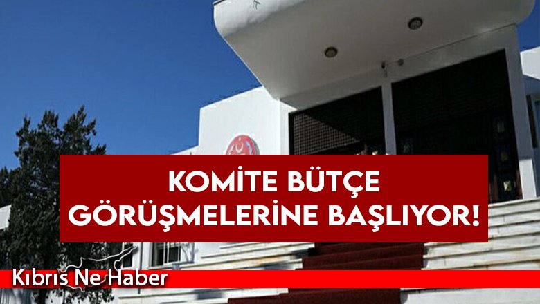 Komite bütçe görüşmelerine başlıyor!