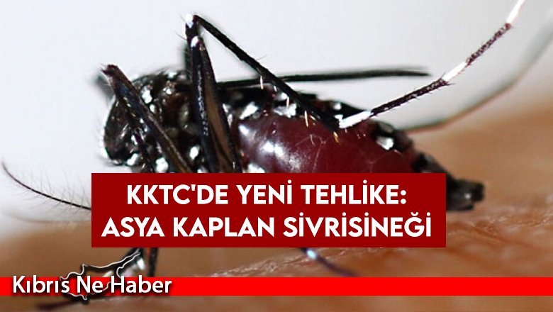 Biyologlar Derneği: "Asya Kaplan Sivrisineği ülkemize gelmiştir”