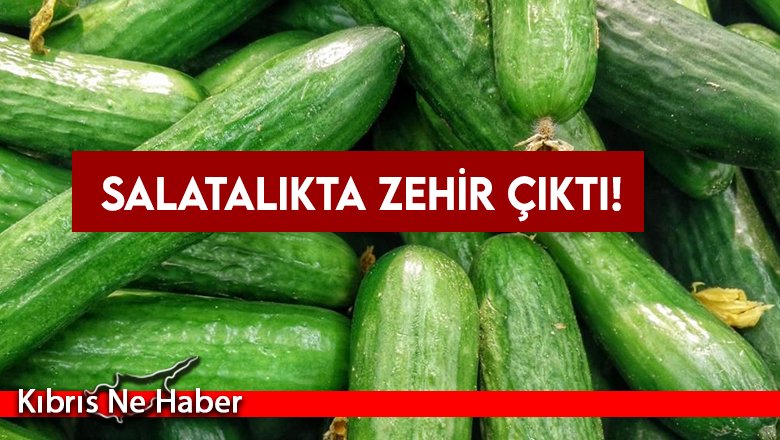Tarım Dairesi Gıda Denetim Sonuçlarını Açıkladı