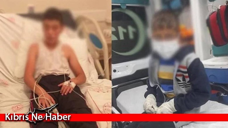 Bitlis'te kuduz olan çocuk hayatını kaybetti