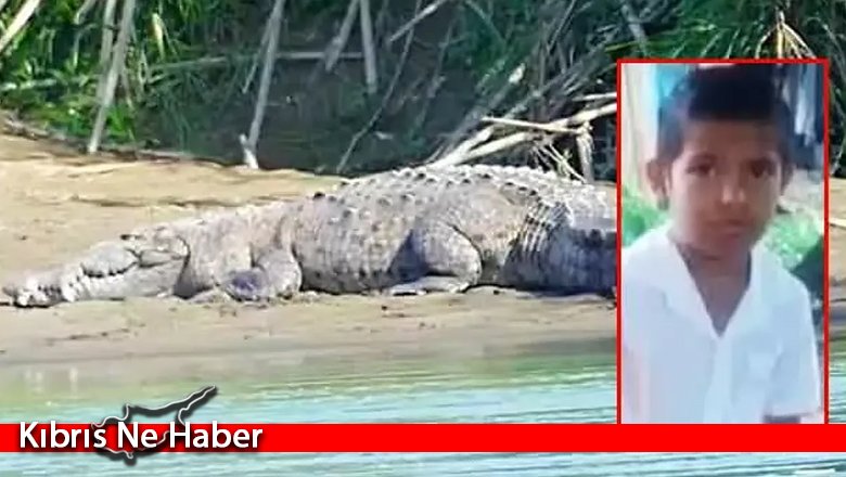 8 yaşındaki çocuk ailesinin gözü önünde timsah tarafından öldürüldü