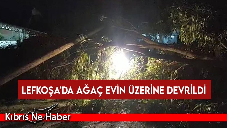 Lefkoşa’da ağaç evin üzerine devrildi