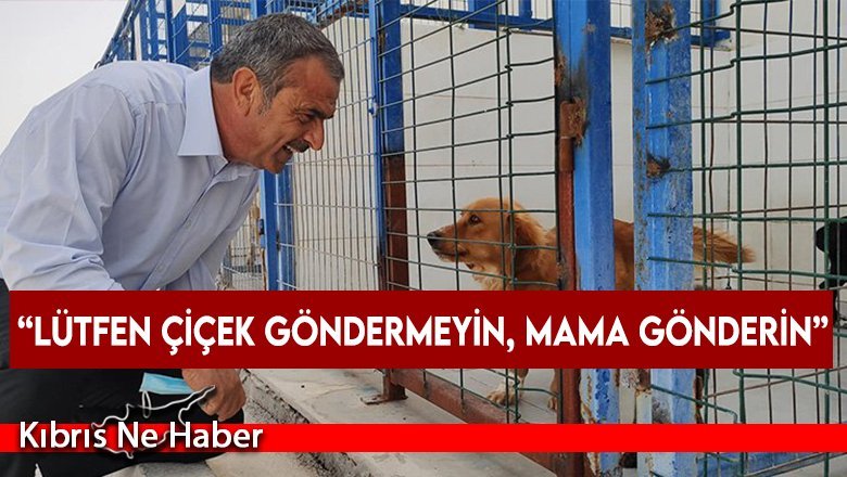 “Lütfen çiçek göndermeyin, mama gönderin”