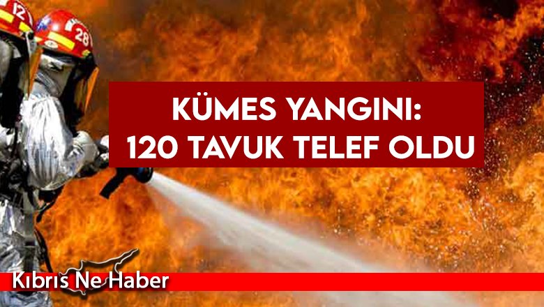 Bağlıköy’de kümes yangını: 120 tavuk telef oldu