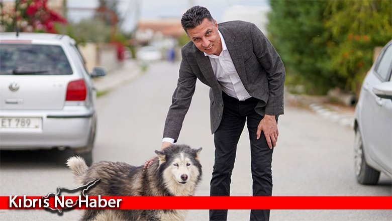 Amcaoğlu: Modern Barınak Projesi hayata geçecek