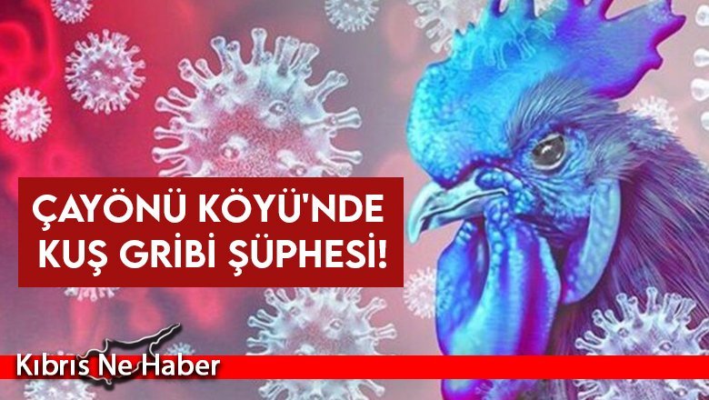Çayönü Köyü'nde kuş gribi şüphesi!