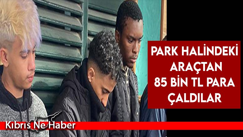 Park halindeki araçtan 85 bin TL para çaldılar