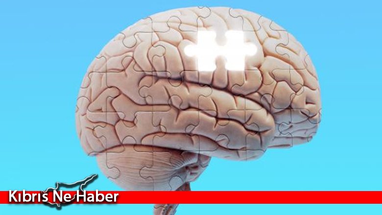 Nörolojide büyük keşif: Bazı insanların beyni neden daha kıvrımlı?