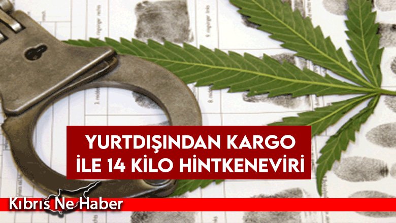 Yurtdışından kargo ile 14 kilo hintkeneviri