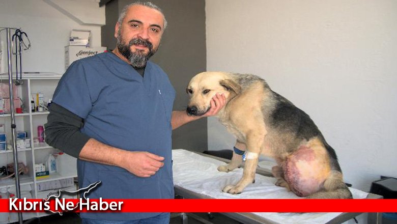 Enkaz altında tüfekle vurulmuş "Umut"un bacağı ampute edildi