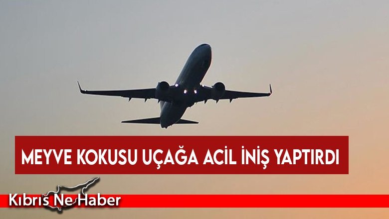 Meyve kokusu uçağa acil iniş yaptırdı
