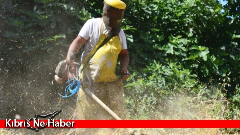 Lefkoşa’da bölgesel temizlik çalışmaları başlıyor
