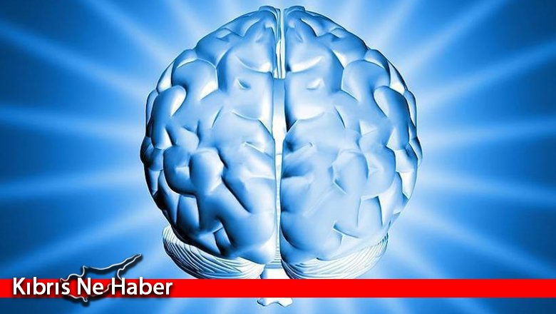 Araştırmalara göre anadiliniz beyin yapınızı etkiliyor