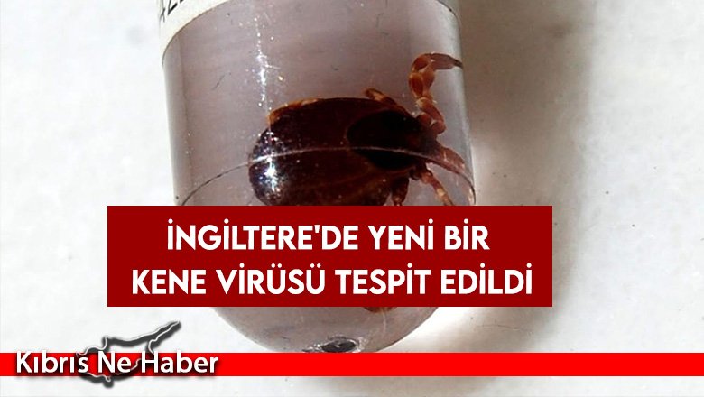 İngiltere'de yeni bir kene virüsü tespit edildi