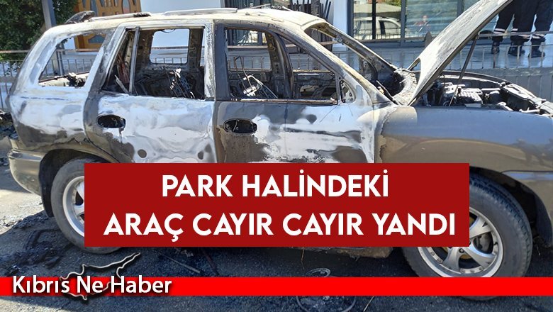 Park halindeki araç cayır cayır yandı