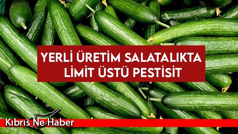 Yerli üretim salatalıkta limit üstü pestisit