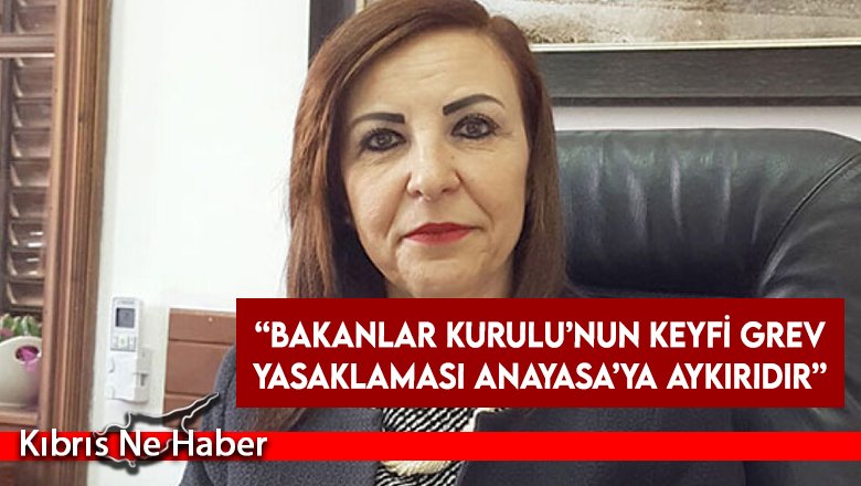 Eski Ombudsman Dizdarlı: Bakanlar Kurulu’nun keyfi grev yasaklaması Anayasa’ya aykırıdır