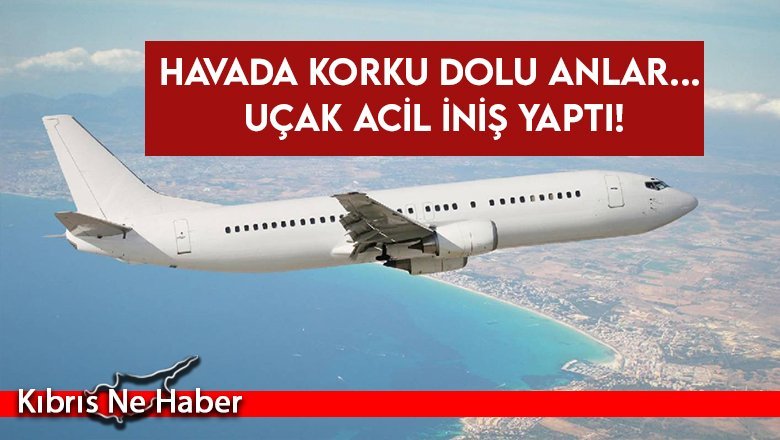 Koltuğunun altında kobra yılanı gören pilot acil iniş yaptı