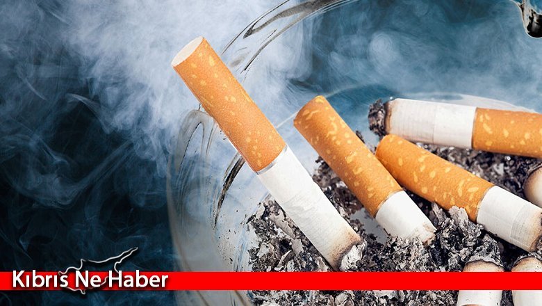 Lefkoşa’da sönmemiş sigara izmaritinden yangın çıktı