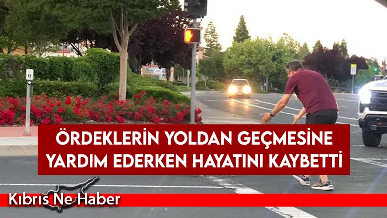 Ördeklerin yoldan geçmesine yardım ederken hayatını kaybetti