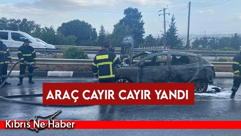 Araç cayır cayır yandı