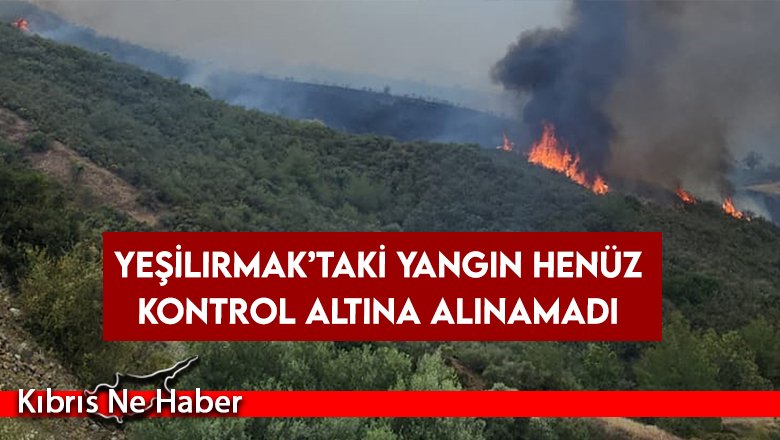 Yangın 7-8 bölgede dağınık şekilde sürüyor