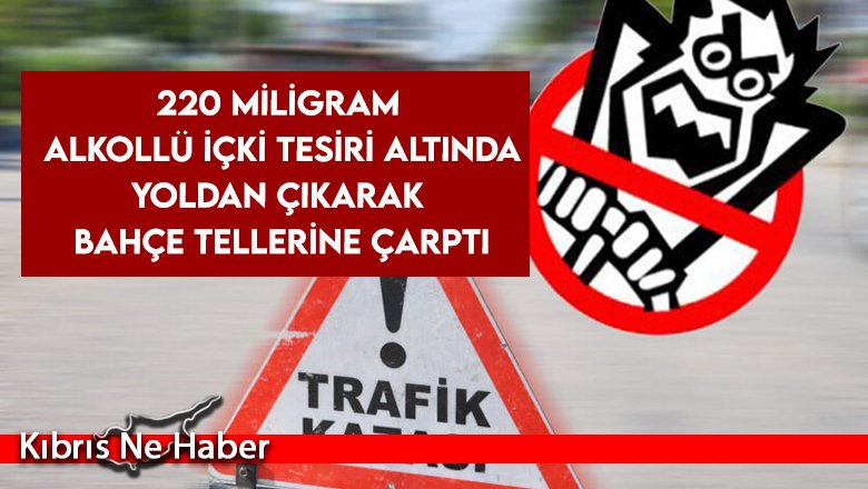 Alkollü sürücü yoldan çıkarak bahçe tellerine çarptı