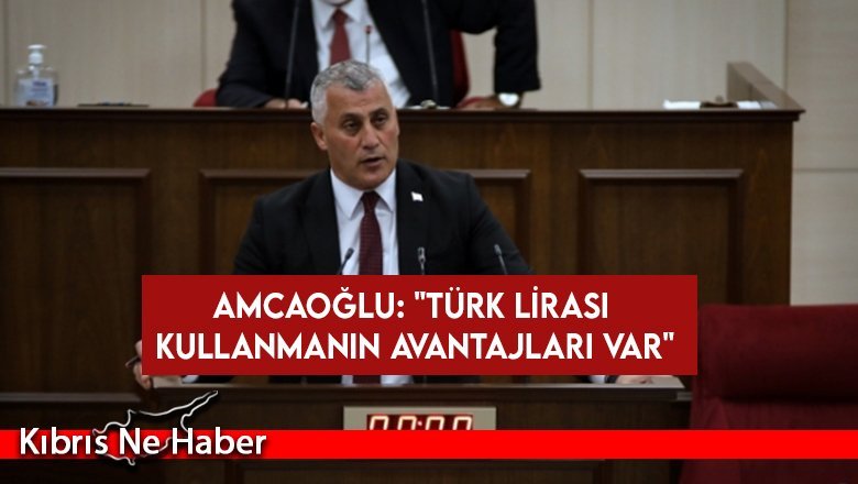 Amcaoğlu: "Türk Lirası kullanmanın avantajları var"