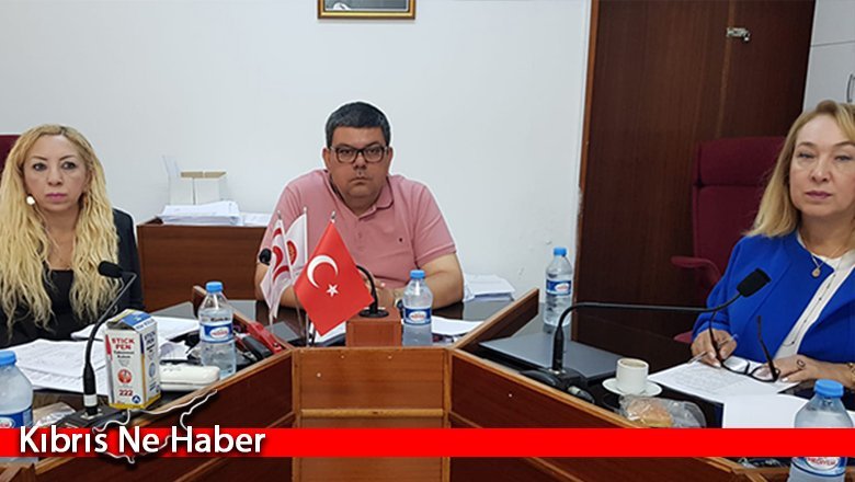 Zeytin ve zeytin ürünleri ile ilgili yasal düzenleme Meclis Genel Kurulu'na sevk edildi