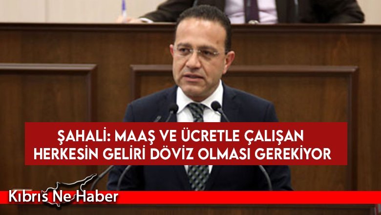Şahali: Maaş ve ücretle çalışan herkesin geliri döviz olması gerekiyor