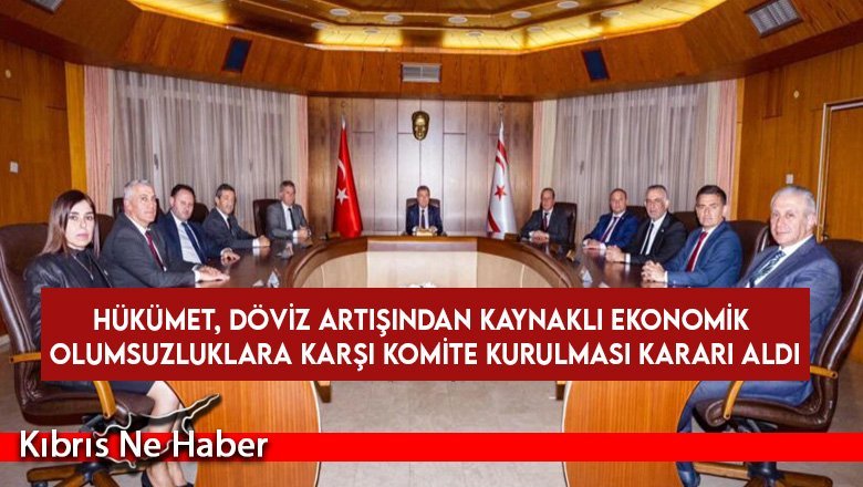 Hükümet, döviz artışından kaynaklı ekonomik olumsuzluklara karşı komite kurulması kararı aldı