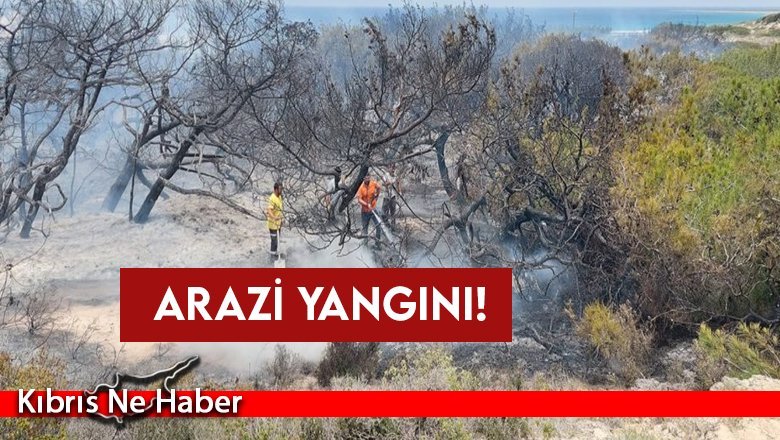 Yenierenköy – Dipkarpaz arasında arazi yangını!