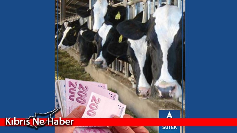 Süt bedelleri ödeniyor!
