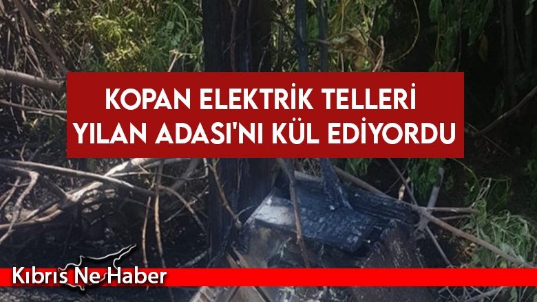 Elektrik telleri kopması sonucu kuru otlar ve ağaçlar yandı